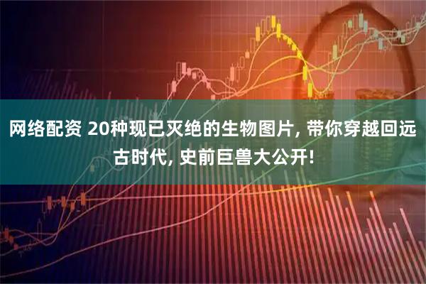 网络配资 20种现已灭绝的生物图片, 带你穿越回远古时代, 史前巨兽大公开!